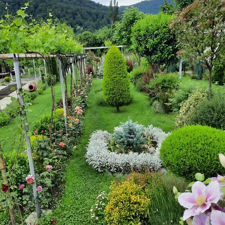 Guest House Gardenia&Wine Cellar Lagodekhi Extérieur photo