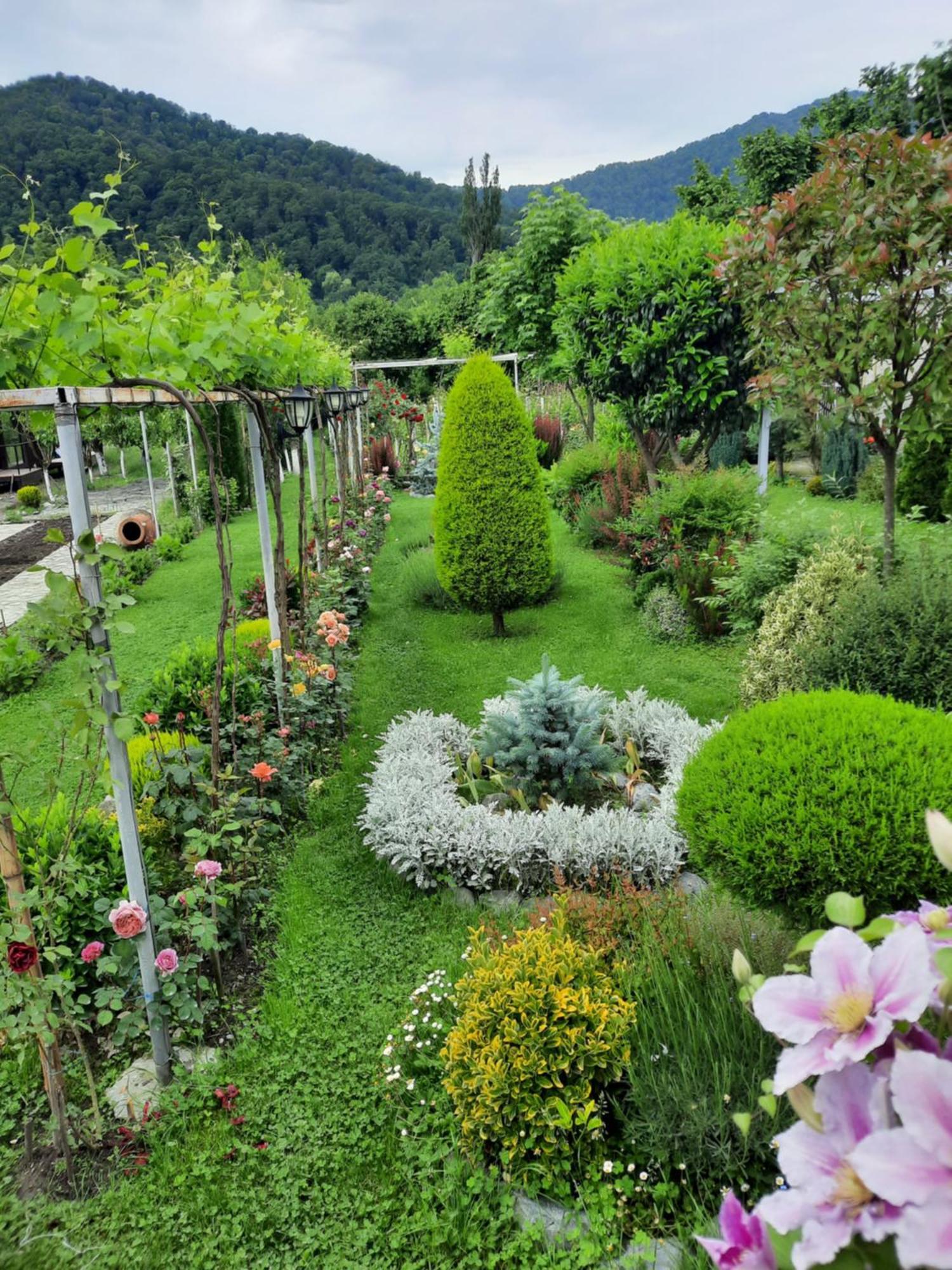 Guest House Gardenia&Wine Cellar Lagodekhi Extérieur photo