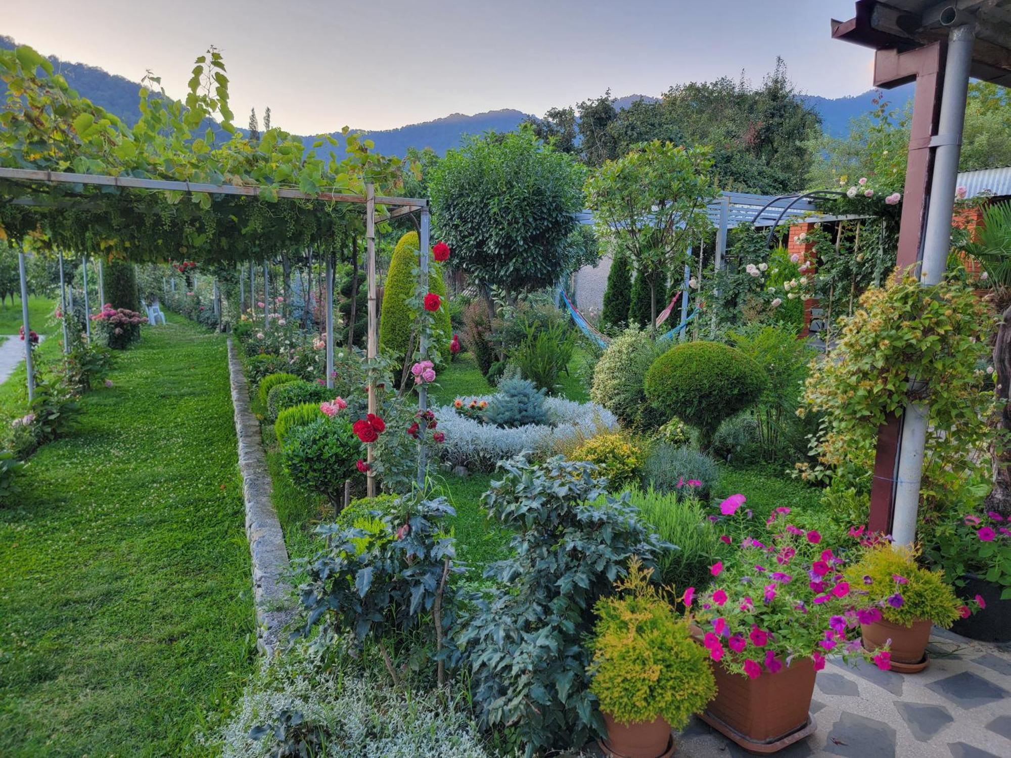 Guest House Gardenia&Wine Cellar Lagodekhi Extérieur photo