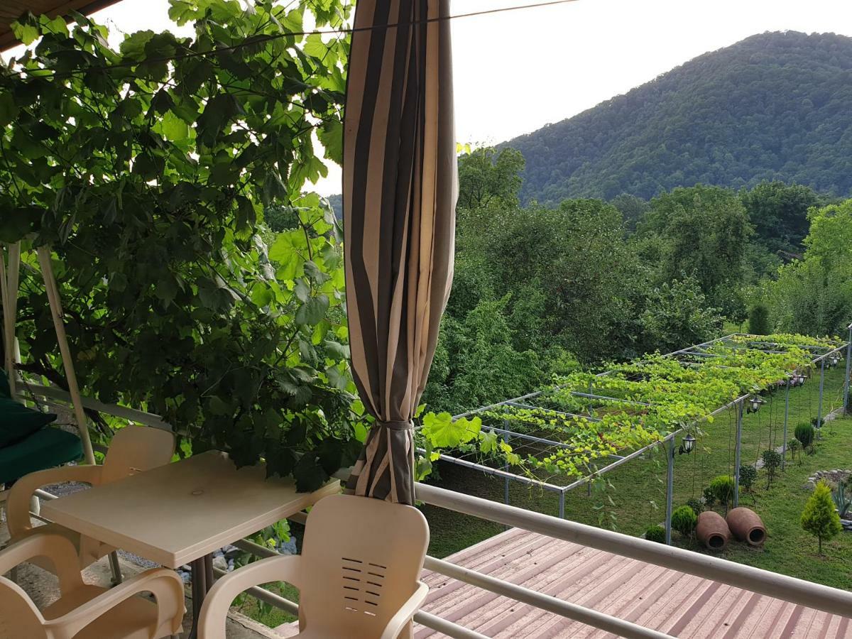 Guest House Gardenia&Wine Cellar Lagodekhi Extérieur photo