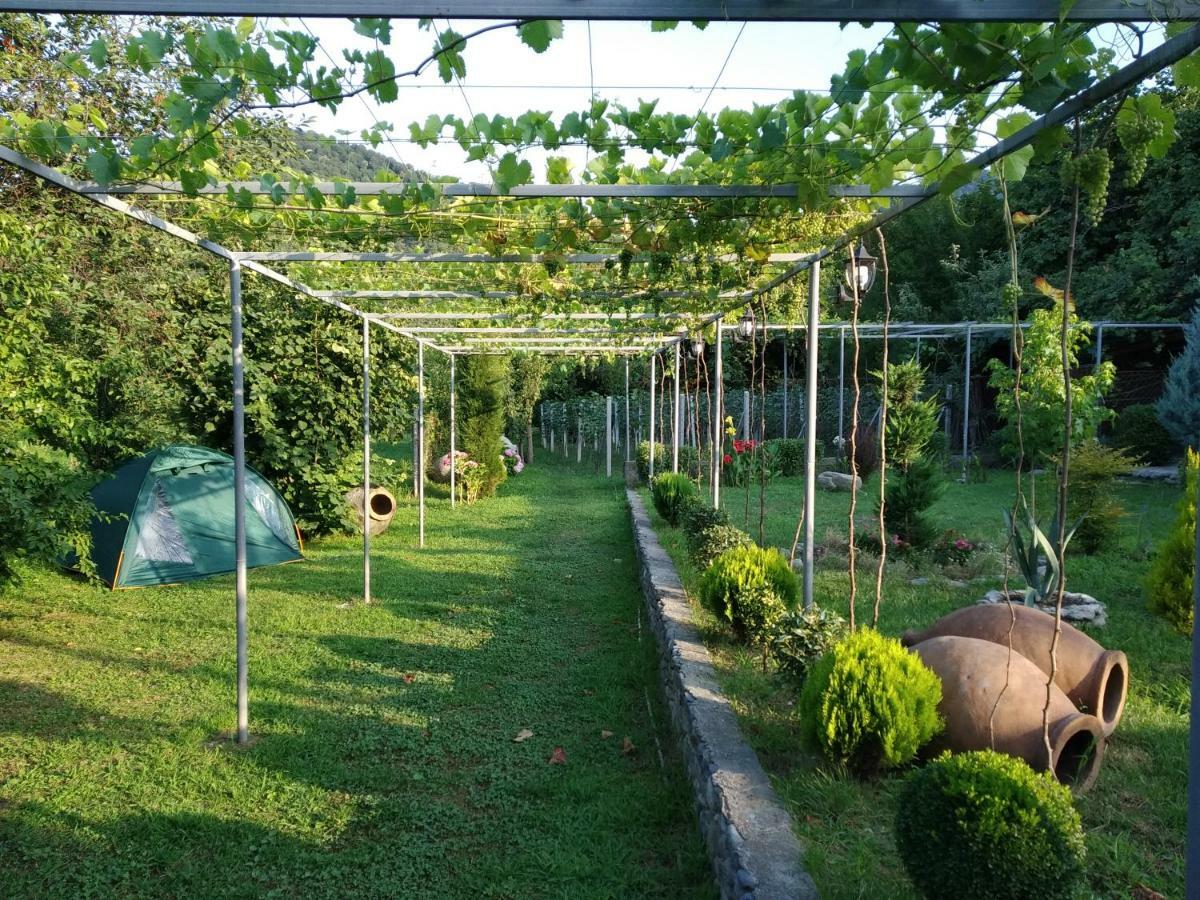 Guest House Gardenia&Wine Cellar Lagodekhi Extérieur photo